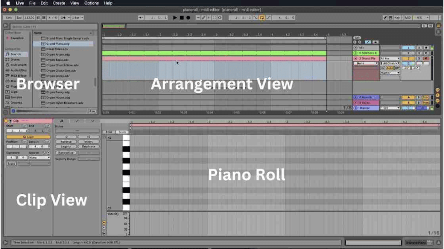 Ableton Piano Roll interface - Unison