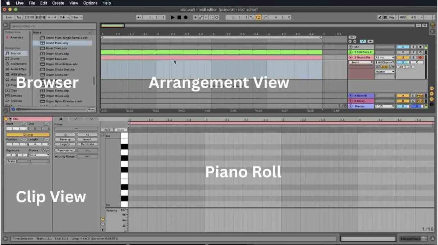 Ableton Piano Roll interface - Unison