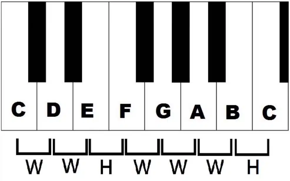 The C Major Scale.