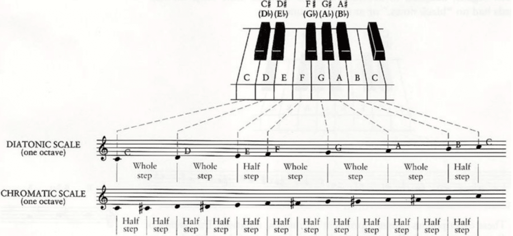 Diatonic Scale 101: Theory Essentials For Inspired Producers