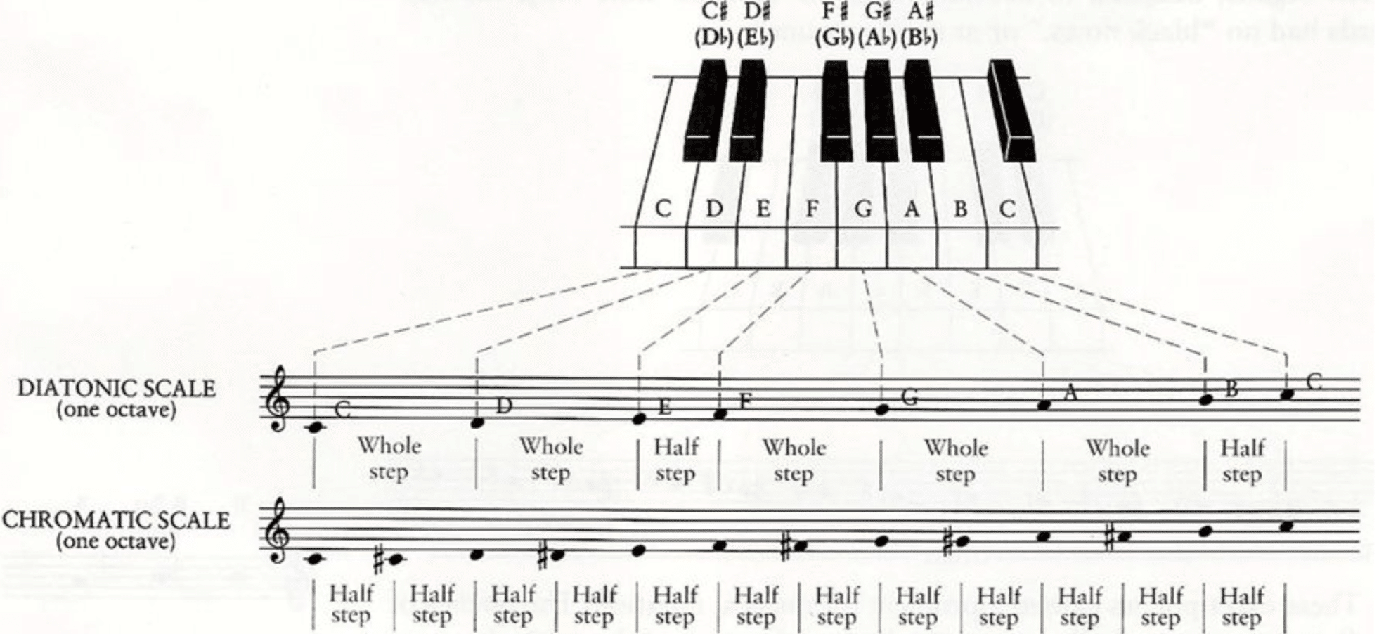 Chromatic Scale vs Diatonic Scale e1696194636133 - Unison