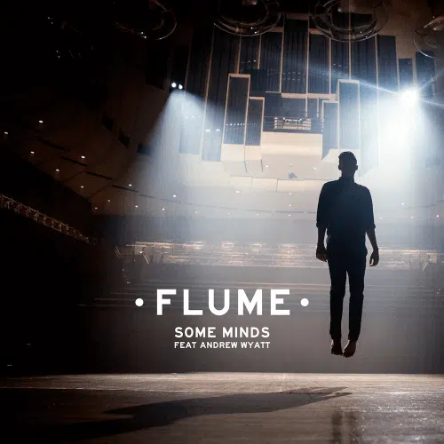 Flume Some Minds - Unison