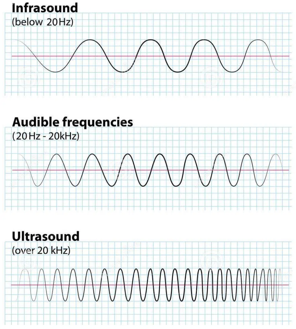 what is an LFO