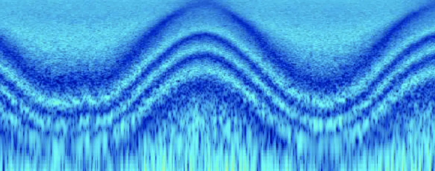 Frequency Response 2 - Unison