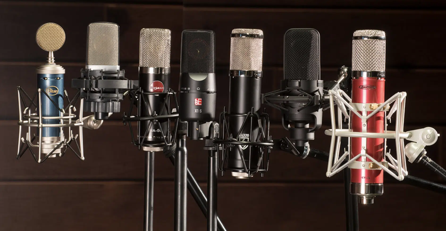 Large Diaphragm Condenser Microphones - Unison