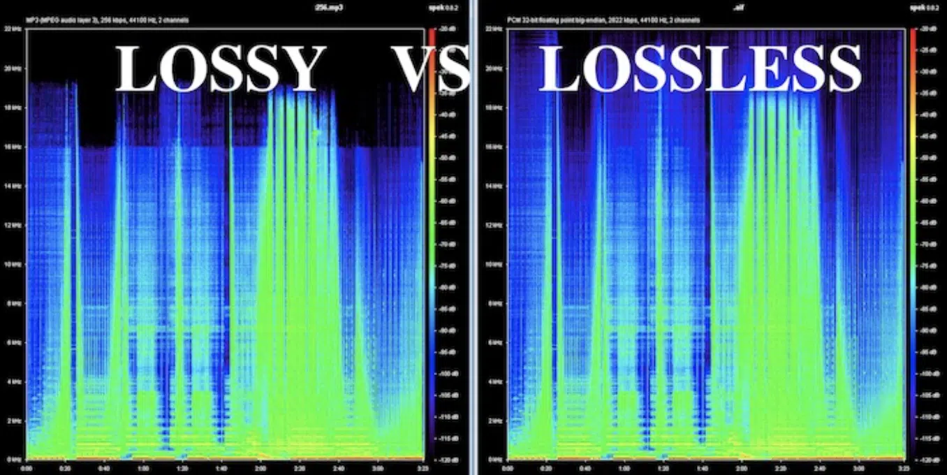 Las flac. Lossy и lossless что это. Спектрограмма mp3 и FLAC. Lossless запись. Lossless Audio.