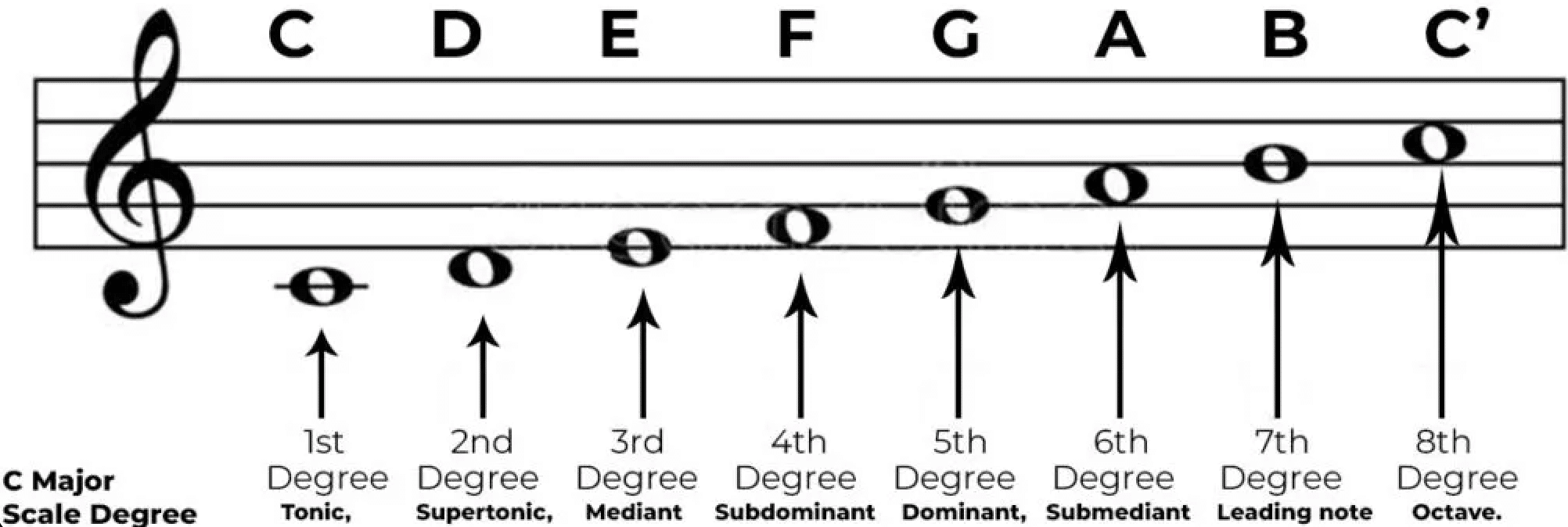 scale degree