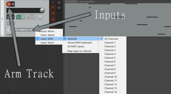 Coding Reaper Reaper DAW 101: The Official Beginner’s Guide To Using Reaper