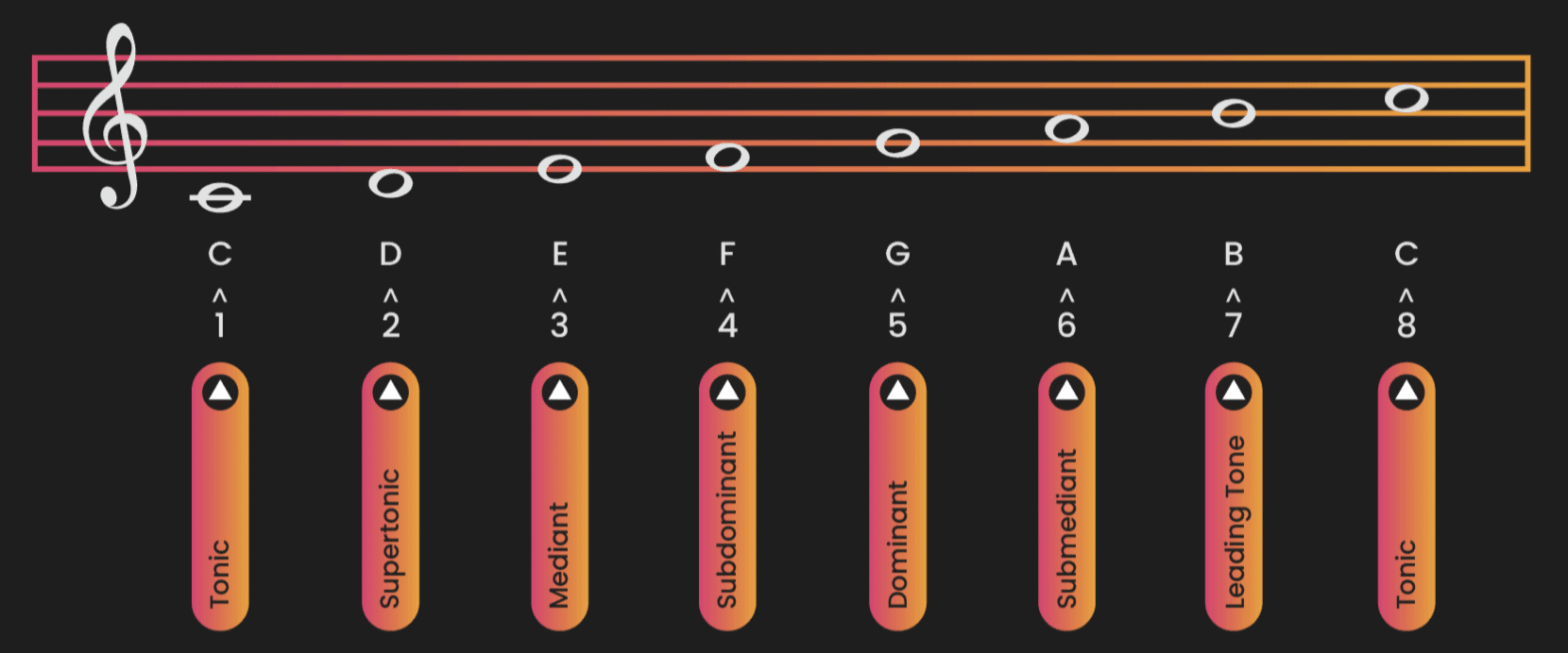 Scale Degrees 1 - Unison