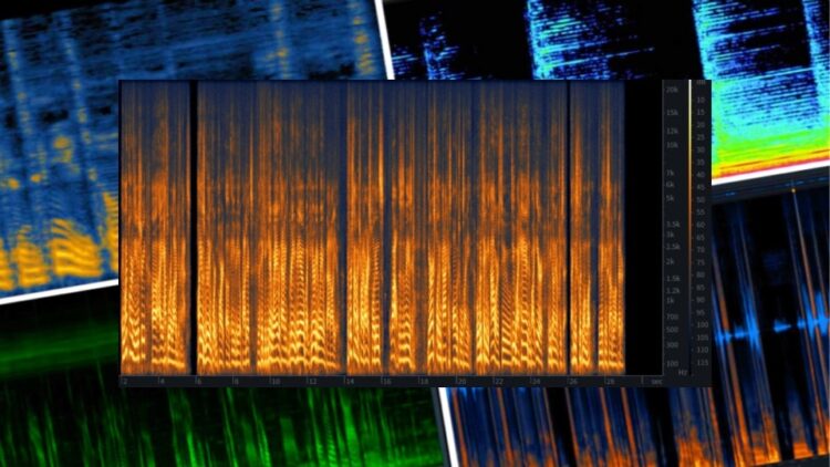 What is a Spectrogram 101: Fix Hidden Problems and Level Up