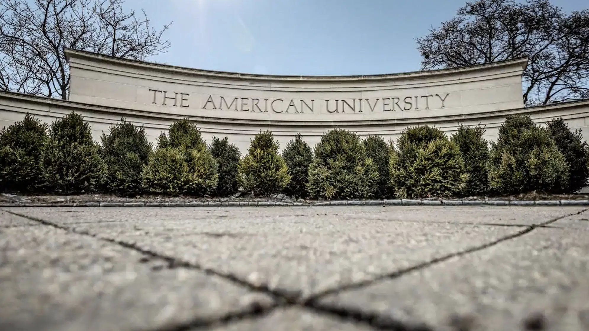 The American University - Unison
