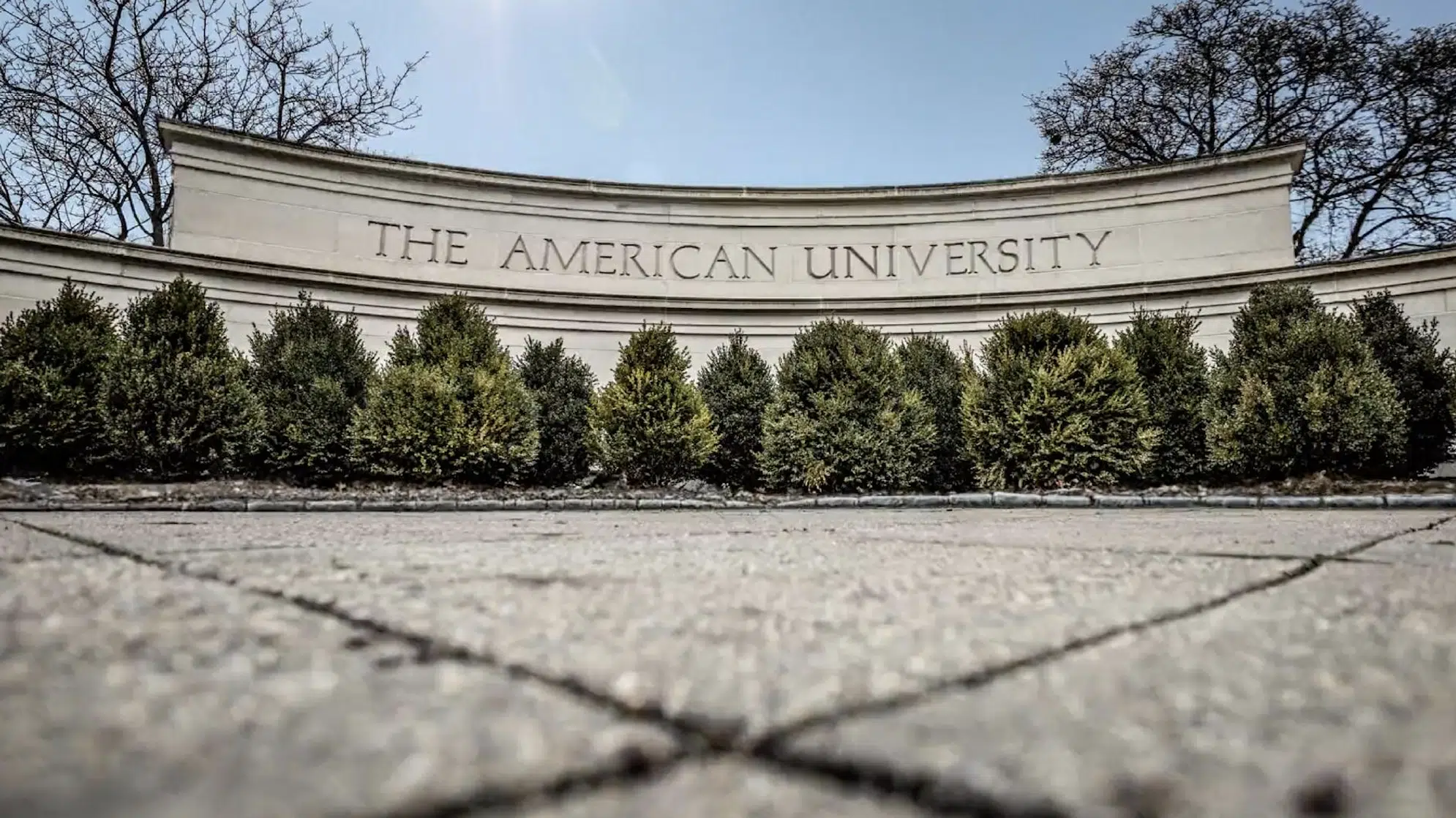 The American University .webp