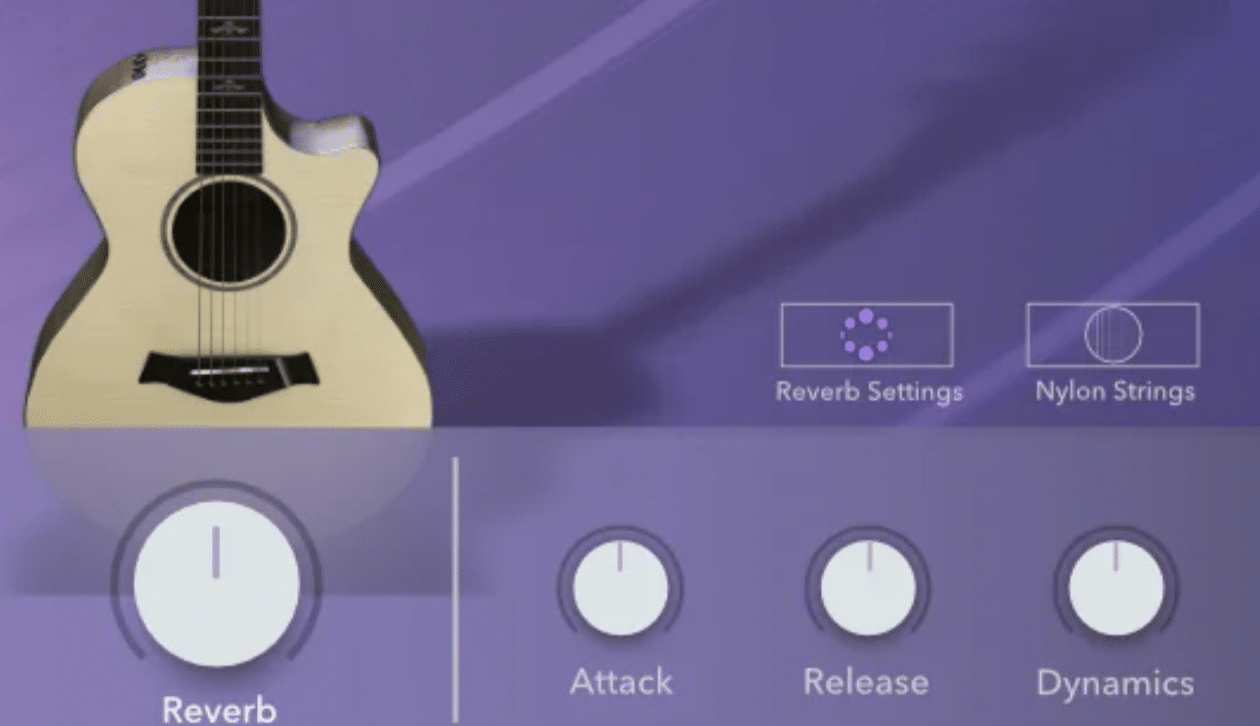 Vinyl Guitar Reverb Attack Release Dynamics - Unison