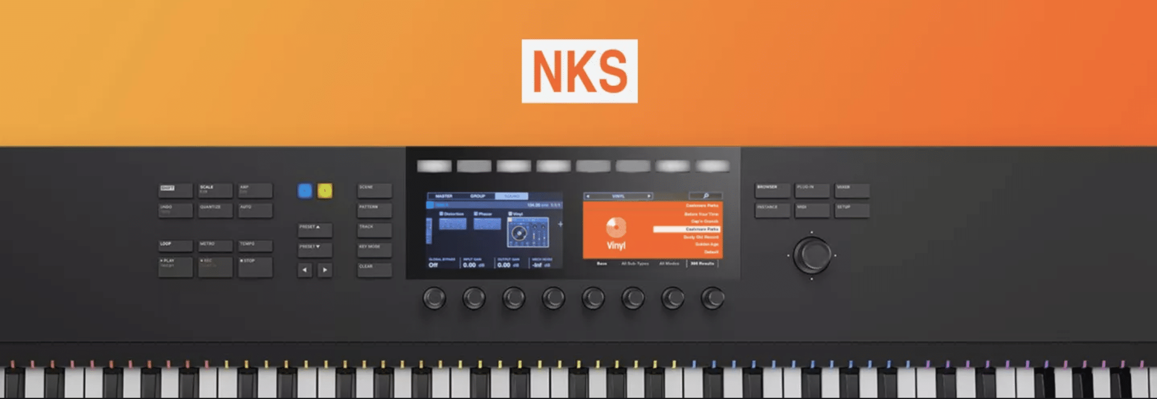 iZotope Vinyl NKS - Unison